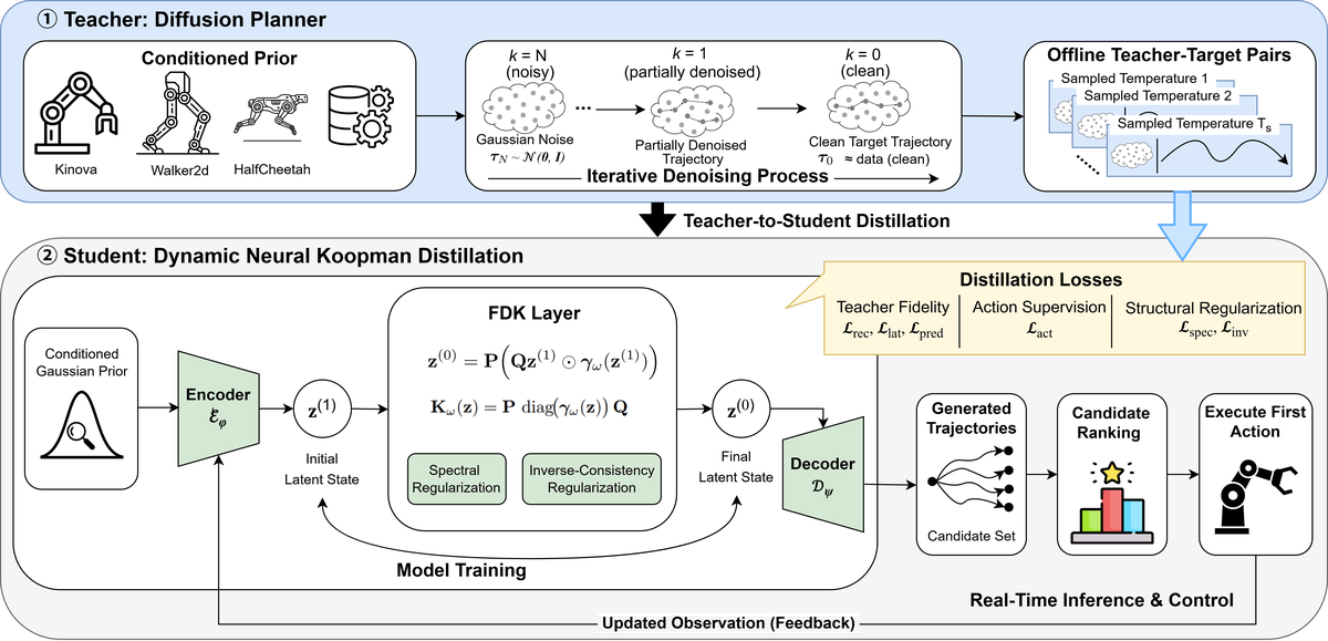 Dynamic Neural Koopman Distillation